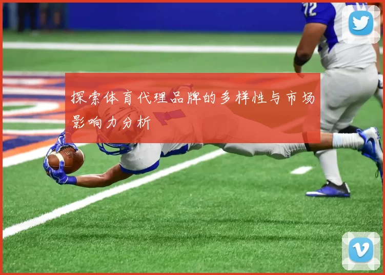 探索体育代理品牌的多样性与市场影响力分析